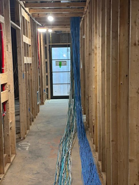 Long bundles of blue and multicolored data wires hanging down from a hallway ceiling frame
