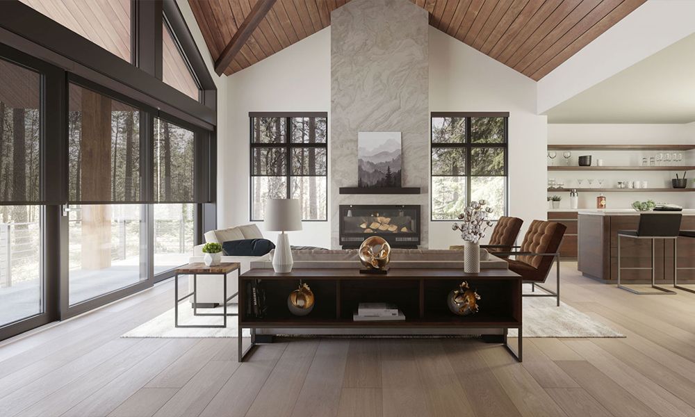 Modern and fancy living room